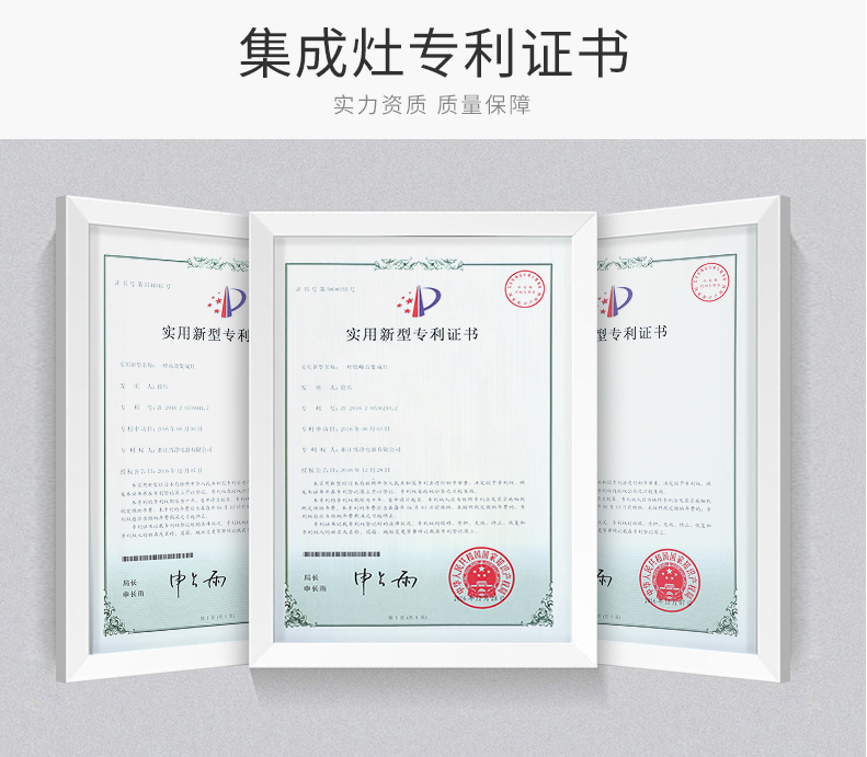 分体式集成灶-集成灶加盟-浙江博净电器有限公司