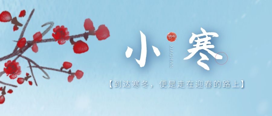 分体式集成灶-集成灶加盟-浙江博净电器有限公司
