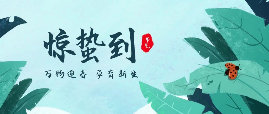 分体式集成灶-集成灶加盟-浙江博净电器有限公司