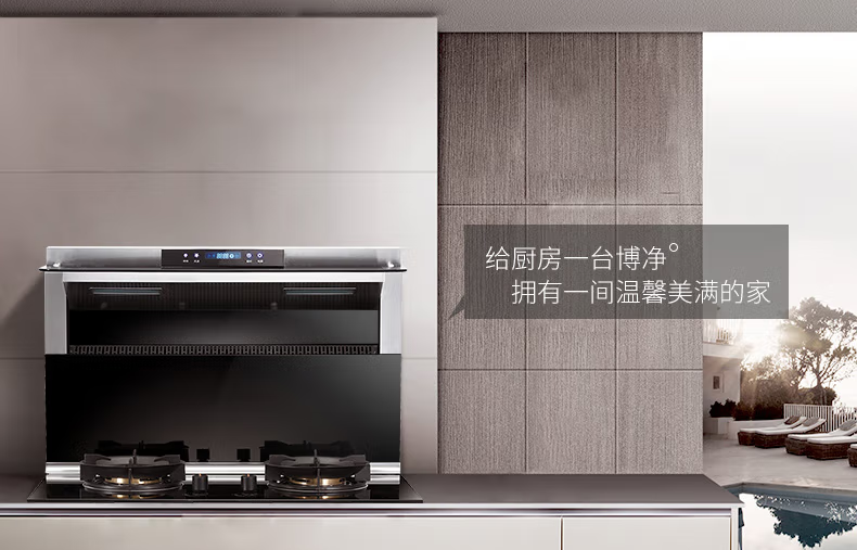 分体式集成灶-集成灶加盟-浙江博净电器有限公司