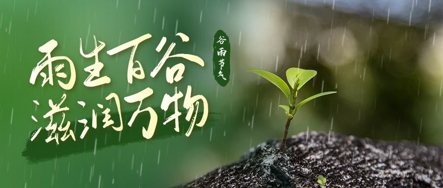 分体式集成灶-集成灶加盟-浙江博净电器有限公司