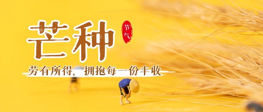 分体式集成灶-集成灶加盟-浙江博净电器有限公司