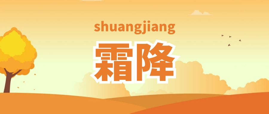 分体式集成灶-集成灶加盟-浙江博净电器有限公司
