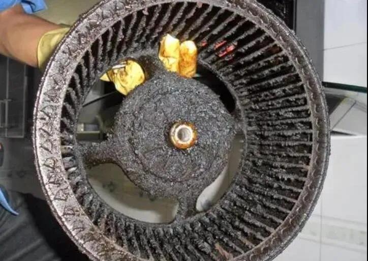 智净生涯由博净分体式集成灶开启